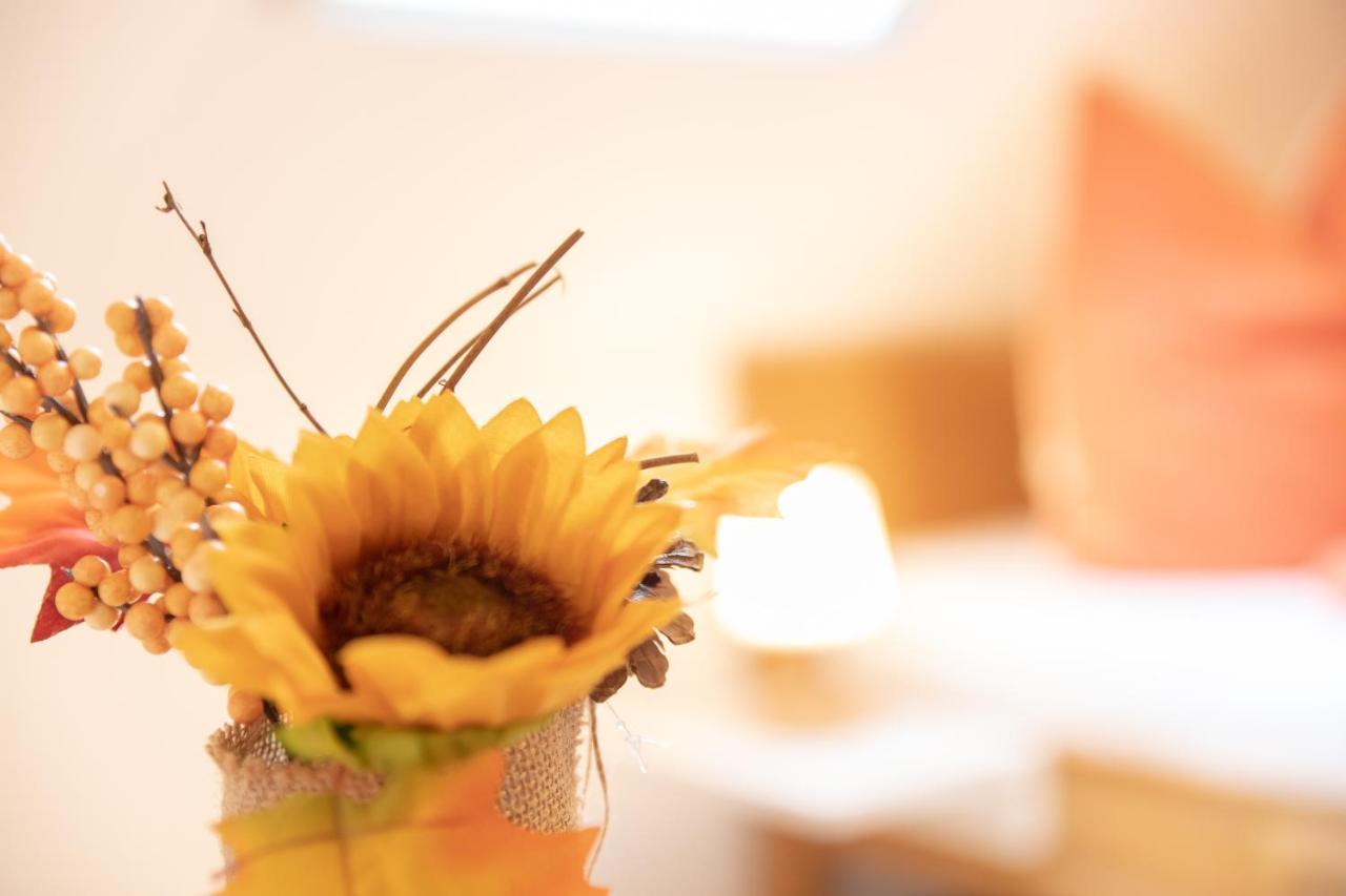 Haus Rosy Ferienwohnung Stubenberg Esterno foto