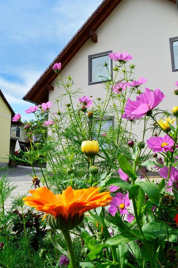 Haus Rosy Ferienwohnung Stubenberg Esterno foto